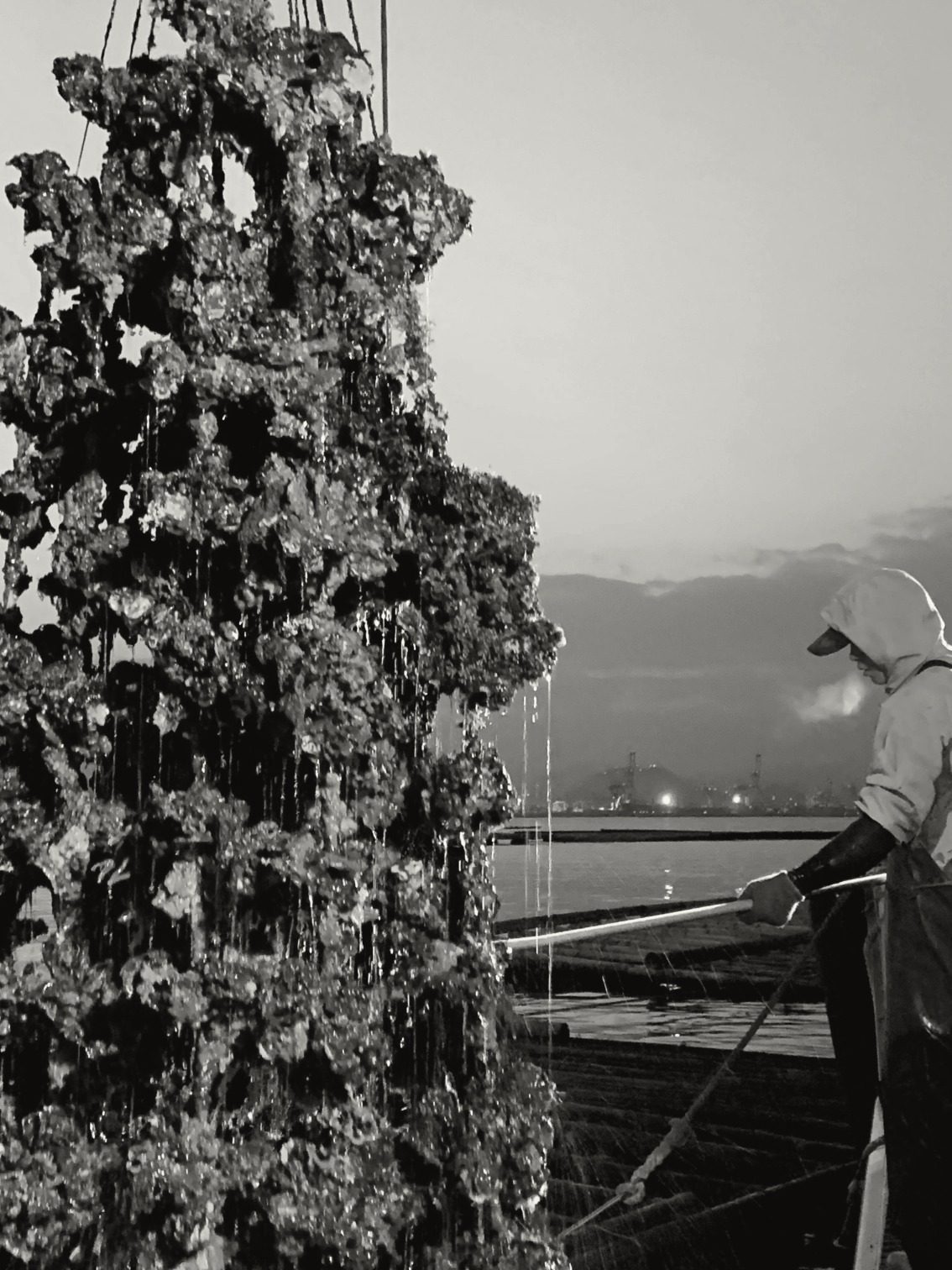 ムカイ水産 創業当時の写真
